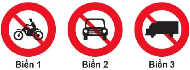 Hình câu 306