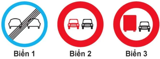 Hình câu 310