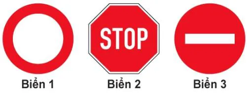 Hình câu 329