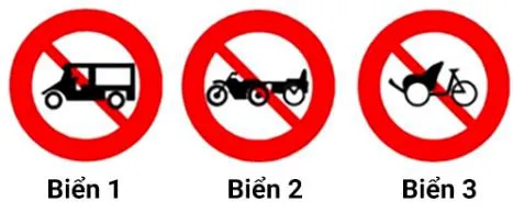 Hình câu 332