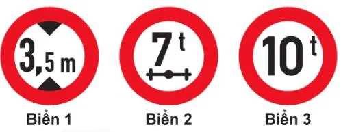 Hình câu 339