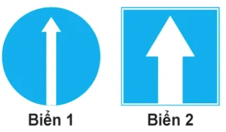Hình câu 433