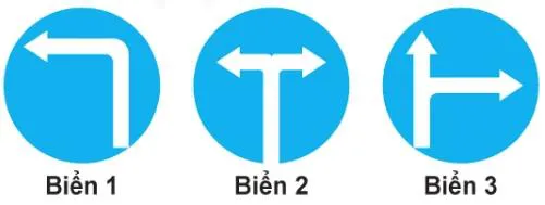 Hình câu 441