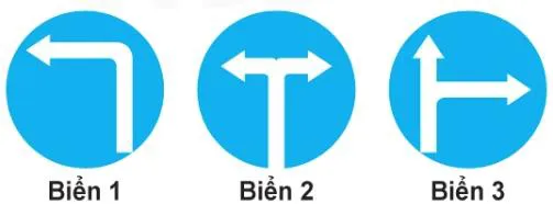 Hình câu 442