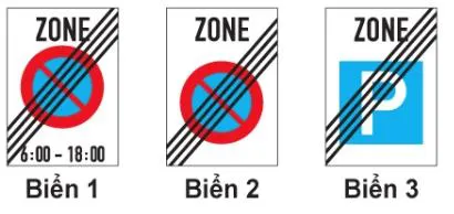 Hình câu 201